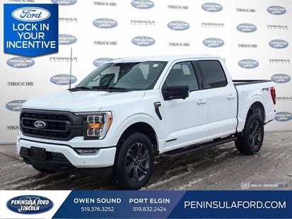 2023 Ford F-150 XLT