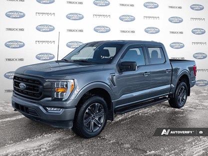 2023 Ford F-150 XLT 4WD SuperCrew 5.5' Box