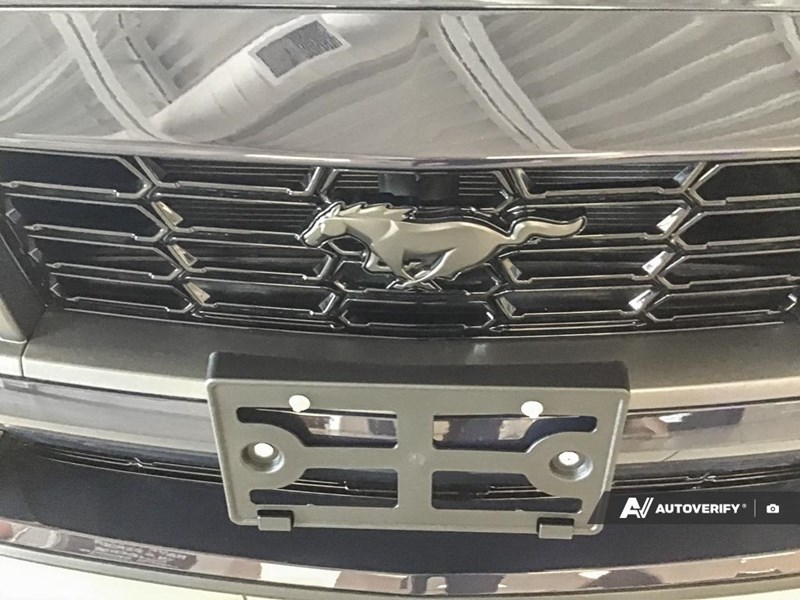 2025 FORD MUSTANG DARK HORSE FASTBACK