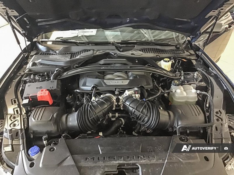 2025 FORD MUSTANG DARK HORSE FASTBACK