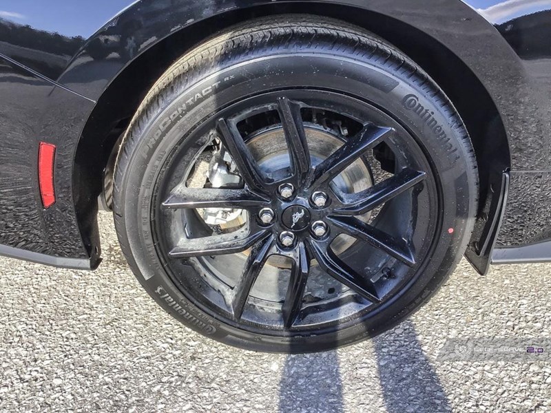 2025 FORD MUSTANG ECOBOOST FASTBACK