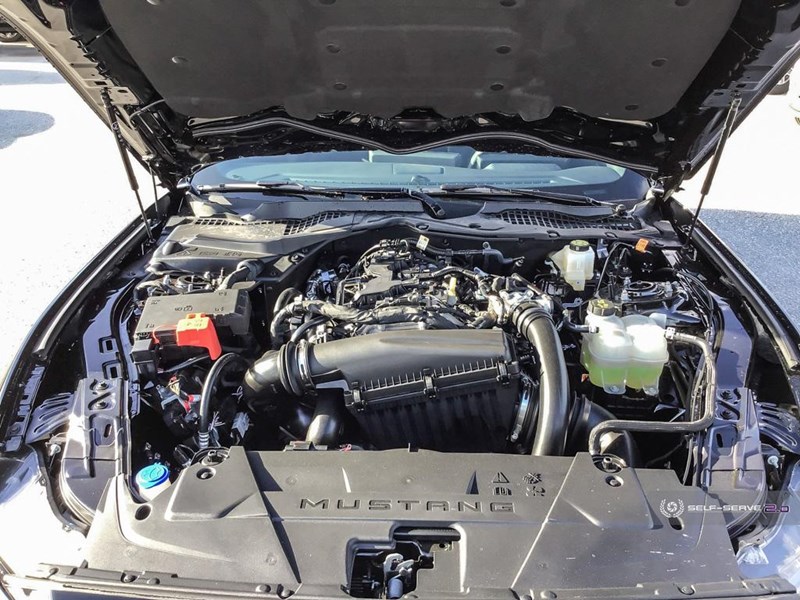 2025 FORD MUSTANG ECOBOOST FASTBACK