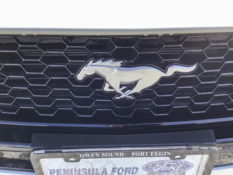 2025 FORD MUSTANG GT PREMIUM CONVERTIBLE