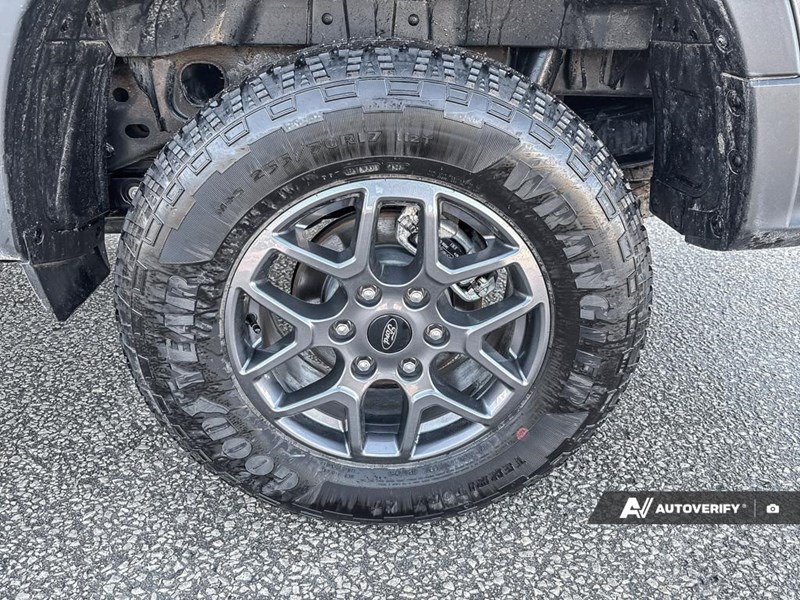 2025 Ford Ranger XLT 4WD SuperCrew 5' Box