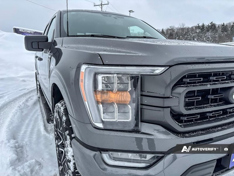 2023 Ford F-150 XLT 4WD SuperCrew 5.5' Box