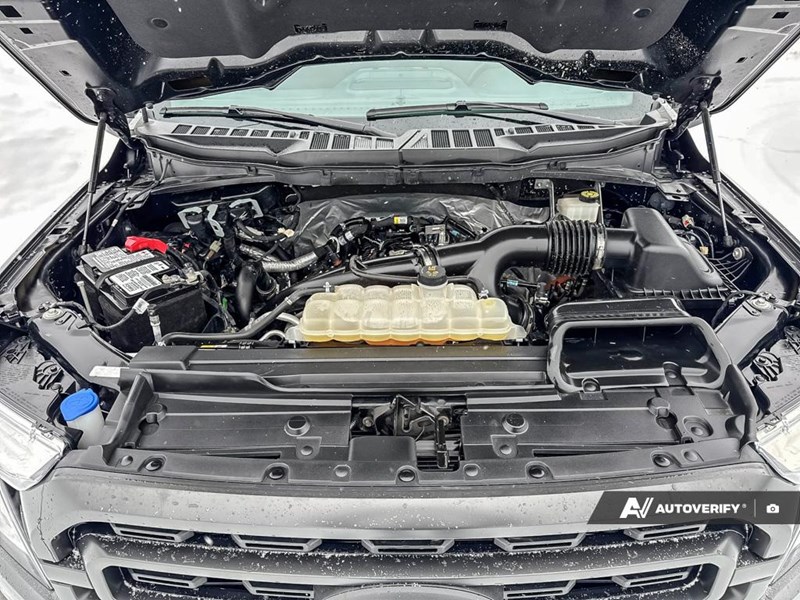 2023 Ford F-150 XLT 4WD SuperCrew 5.5' Box