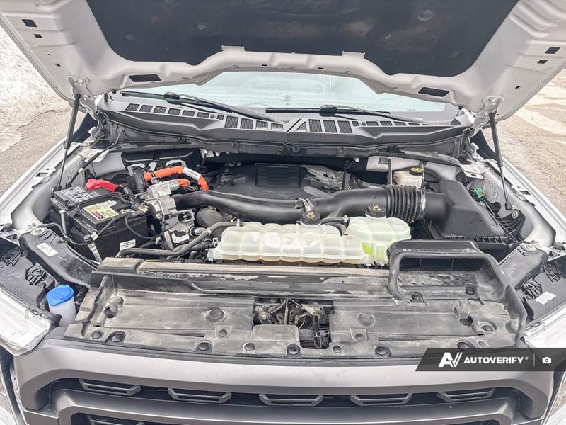 2023 Ford F-150 XLT 4WD Supercrew 5.5' Box