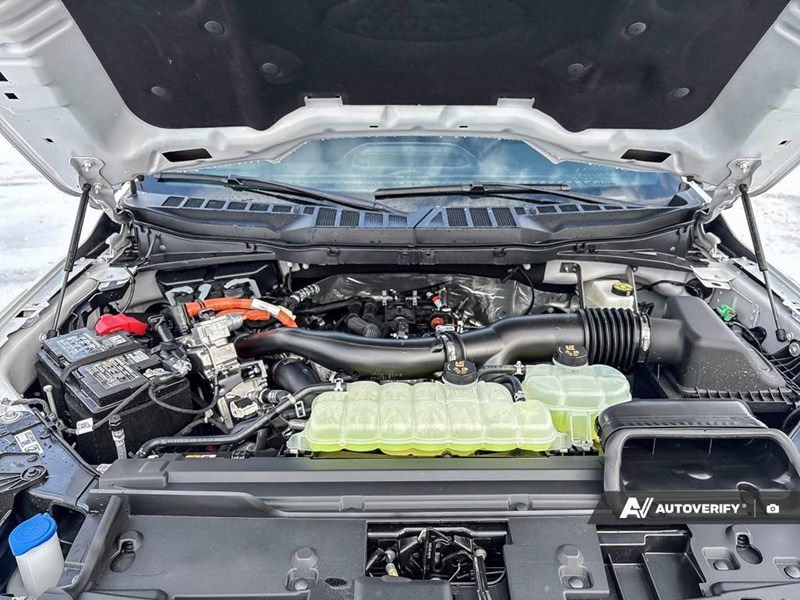 2025 Ford F-150 XLT 4WD SuperCrew 5.5' Box