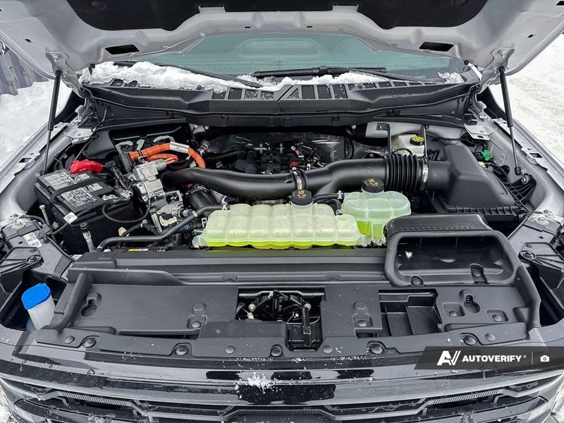 2026 Ford F-150 XLT 4WD SuperCrew 5.5' Box