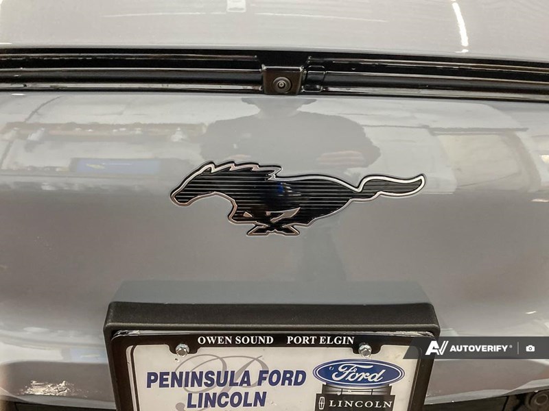 2025 Ford Mustang Mach-E Premium AWD