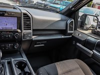 2019 FORD F-150 XLT 4WD SUPERCREW 6.5' BOX
