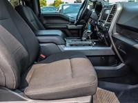 2019 FORD F-150 XLT 4WD SUPERCREW 6.5' BOX
