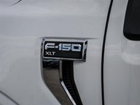 2023 FORD F-150 XLT 4WD REG CAB 6.5' BOX