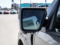 2025 FORD F-150 XLT 4WD SUPERCREW 5.5' BOX
