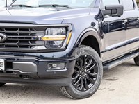 2025 FORD F-150 XLT | 5.5' BOX | 303A | B&O | FX4