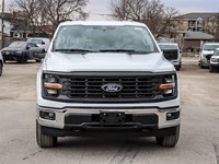 2025 FORD F-150 XL 4WD REG CAB 8' BOX