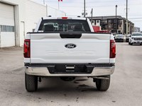 2025 FORD F-150 XL 4WD REG CAB 8' BOX