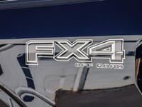 2025 FORD F-150 XL 4WD REG CAB 6.5' BOX
