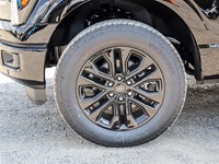 2025 FORD F-150 LARIAT 4WD SUPERCREW 5.5' BOX