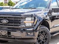 2025 FORD F-150 XLT 4WD SUPERCREW 5.5' BOX