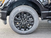 2025 FORD F-150 XLT 4WD SUPERCREW 5.5' BOX