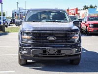2025 FORD F-150 XLT 4WD SUPERCREW 5.5' BOX
