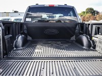 2025 FORD F-150 STX 4WD SUPERCREW 5.5' BOX