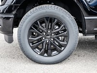 2025 FORD F-150 LARIAT 4WD SUPERCREW 5.5' BOX