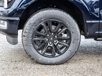 2025 FORD F-150 PLATINUM 4WD SUPERCREW 5.5' BOX