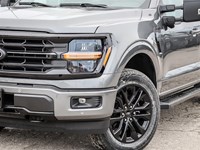 2025 Ford F-150 XLT 4WD SuperCrew 5.5' Box