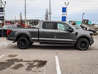 2025 Ford F-150 XLT 4WD SuperCrew 5.5' Box