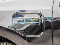2025 FORD F-150 LIGHTNING FLASH 4WD SUPERCREW 5.5' BOX