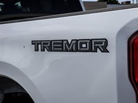 2025 FORD F-250 XLT 4WD CREW CAB 6.75' BOX