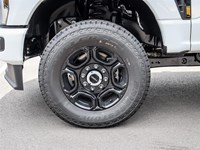 2026 Ford F-250 XL 4WD Reg Cab 8' Box