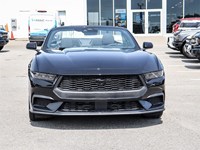 2026 Ford Mustang Ecoboost Convertible