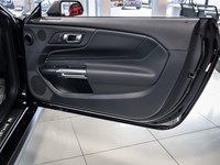 2026 Ford Mustang Ecoboost Premium Fastback