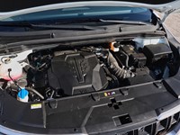 2024 Kia Carnival EX+ FWD