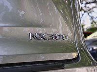 2021 Lexus NX 300 300 F SPORT PKG