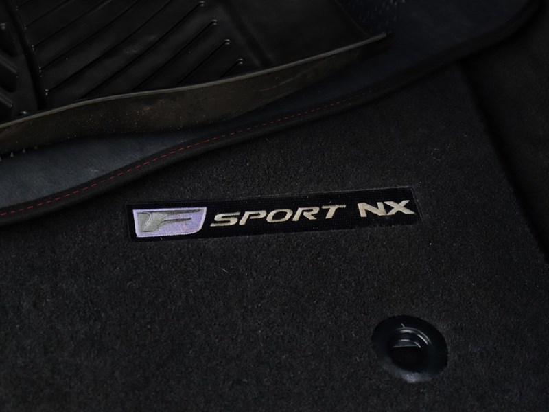 2021 Lexus NX 300 300 F SPORT PKG