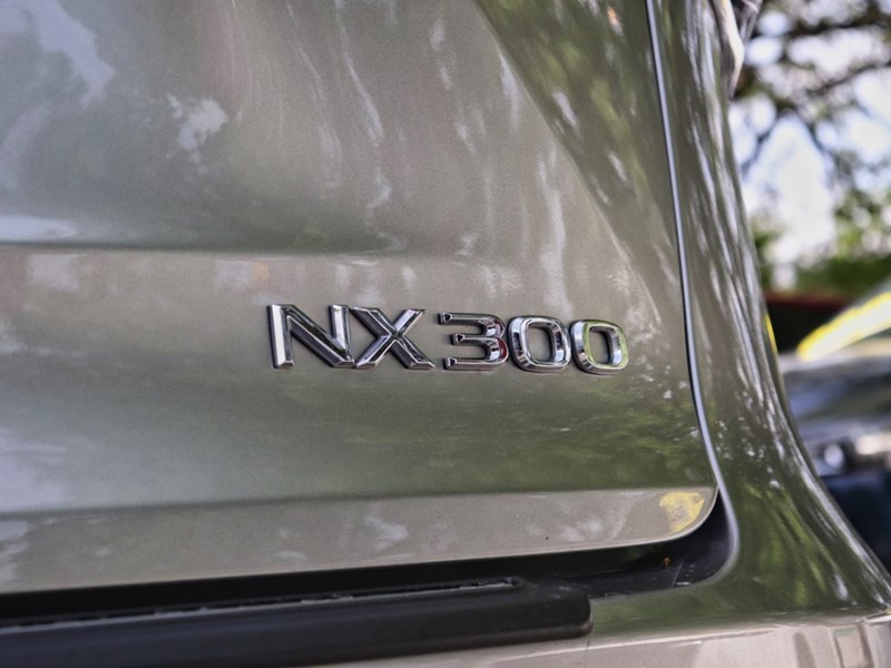 2021 Lexus NX 300 300 F SPORT PKG