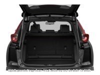 2021 Honda Cr-V Black Edition AWD Exterior Shot 4