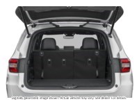 2025 HONDA PILOT TRAILSPORT AWD Exterior Shot 4
