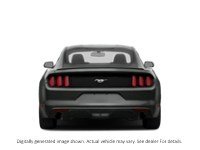 2017 Ford Mustang 2Dr Fastback Ecoboost Exterior Shot 8