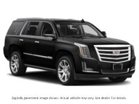 2018 Cadillac Escalade 4WD 4Dr Premium Luxury Exterior Shot 9