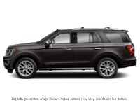 2020 Ford Expedition Platinum 4X4 Exterior Shot 6