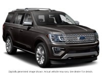 2020 Ford Expedition Platinum 4X4 Exterior Shot 8