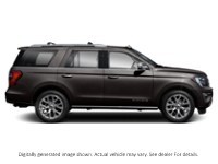 2020 Ford Expedition Platinum 4X4 Exterior Shot 10