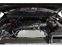 2020 Ford Expedition Platinum 4X4 Exterior Shot 3