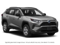 2019 Toyota Rav4 Hybrid AWD Hybrid LE Exterior Shot 8