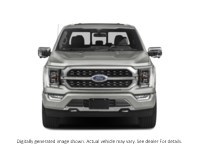 2023 Ford F-150 Platinum 4WD Supercrew 5.5' Box Exterior Shot 5